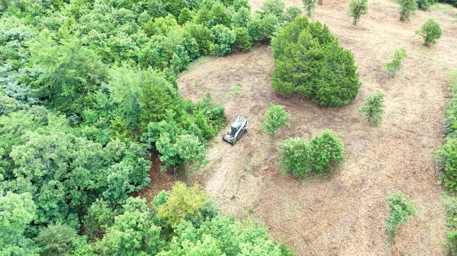 Aerial view of a cleared tree line on wooded Northwest Arkansas land