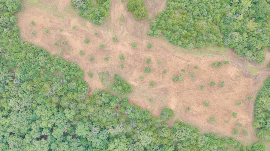 Aerial view of a forestry mulching project completed in Northeast Oklahoma, showing cleared land bordered by dense woodland