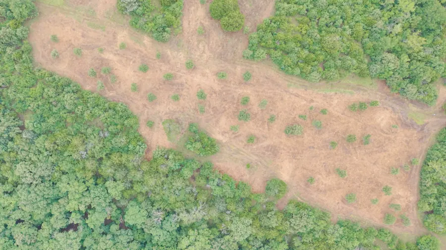 Cleared field in Northeast Oklahoma after forestry mulching